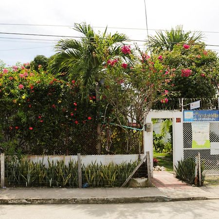 Hostal Del Mar - โตลู ภายนอก รูปภาพ